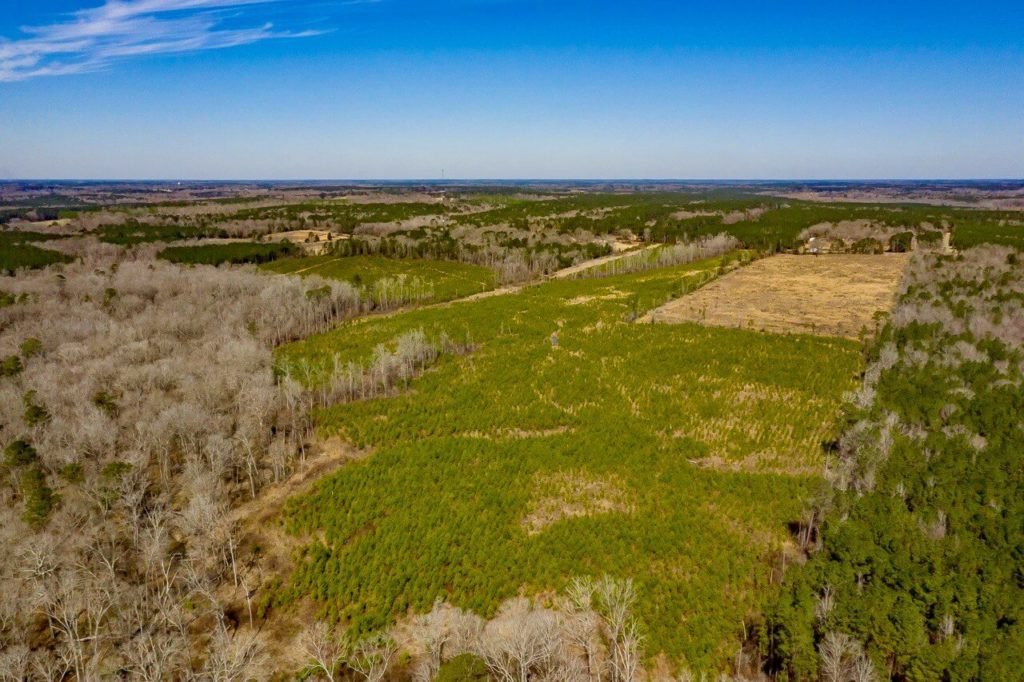 118-Acres-Wooded-Land-for-Sale-in-Lincoln-Parish-LA
