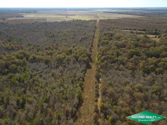 175-Acres-Hunting-Land-for-Sale-in-West-Carroll-Parish-LA