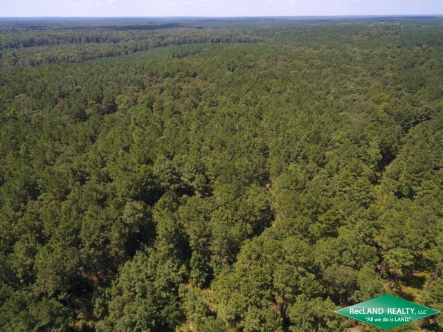 340-Acres-Hunting-Land-for-Sale-in-Natchitoches-Parish-LA