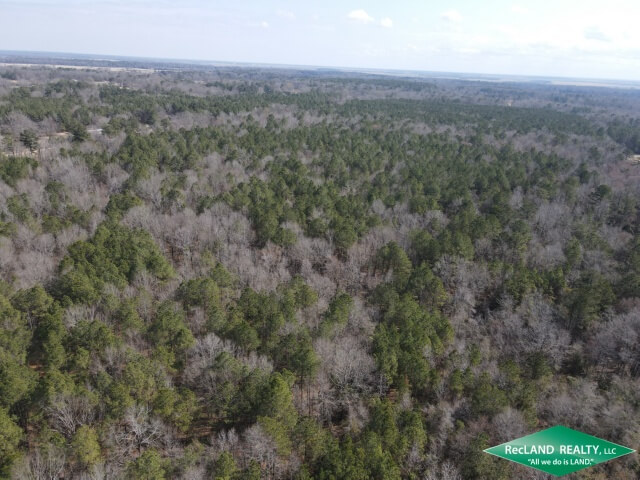 80-Acres-Hunting-Land-for-Sale-in-Morehouse-Parish-LA