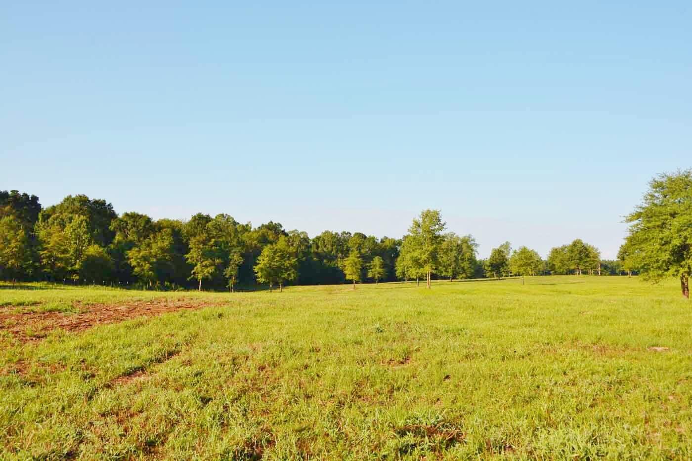 Land for Sale in Lincoln Parish LA Louisiana Landsource