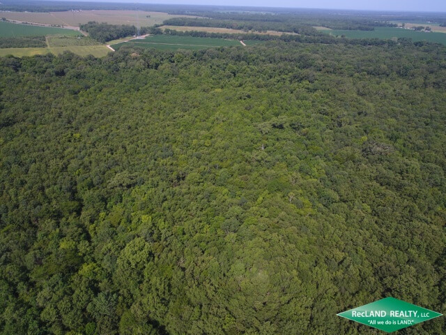 Land-for-Sale-in-Caldwell-Parish-LA-145-Hunting-Land